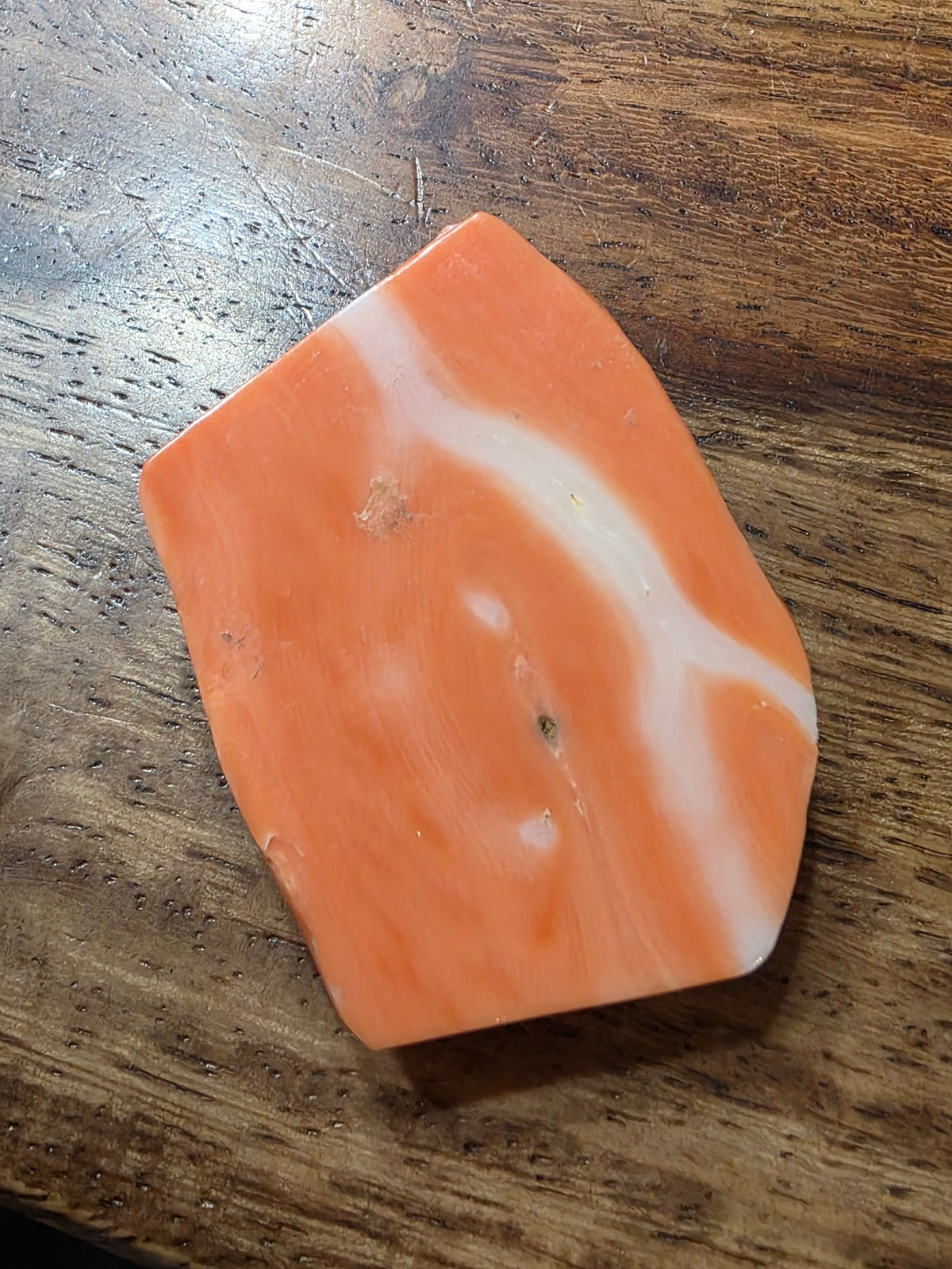 Antique Hand-Carved Natural Salmon Coral Cameo Loose Gemstone | 15.6g / 78ct